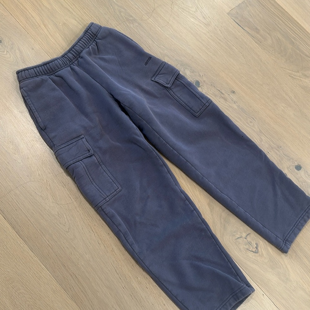 Aritzia TNA cargo sweats